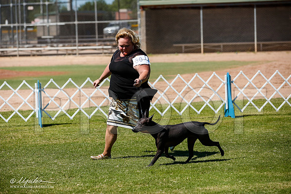 _JJ_8011-AlamogordoOct2014-HR3