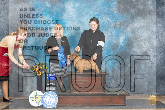 Norfolk Terrier #5 Fri G1 Judge Edy Dykstra-Blum__JP_9579_Abilene_2024_HR3