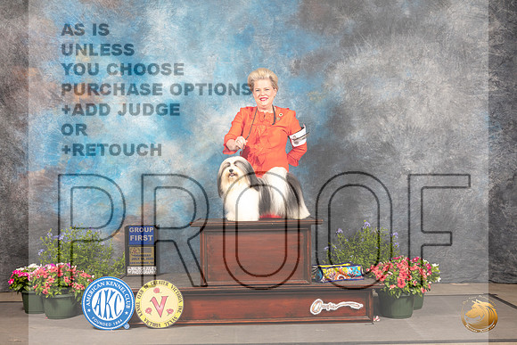 Havanese #5 Thur G1 Judge Allen Odom_MJ_0023_SA_2022_HR3