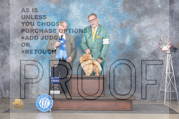 Pomeranian #19 Sun G1 Judge Rodney Merry__JP_6398_Amarillo_2024_HR3