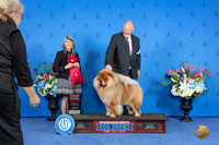 Chow Chow #5 FRI G2 Judge Angela Pickett