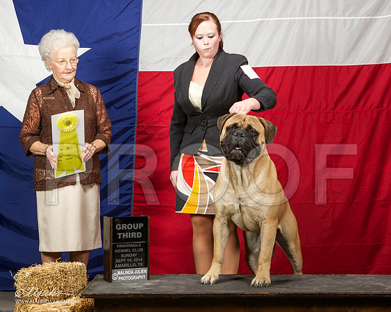 _ST_2097-AmarilloSep2014-HR3