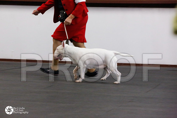 _CL_5470-AzleMar14-HR