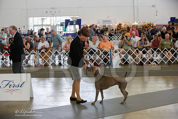 _JJ_1550-DallasJul2014-HR3