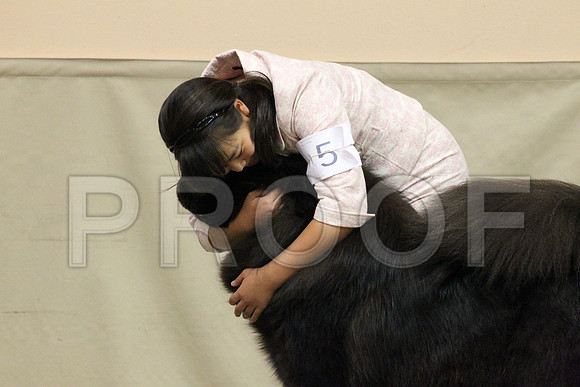 MJS_8556