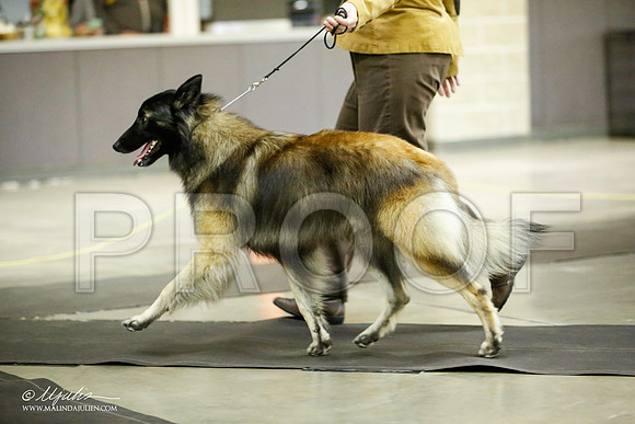 _JJ_6145-BeltonJan2015IABCA-HR3