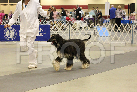 MJS_0009