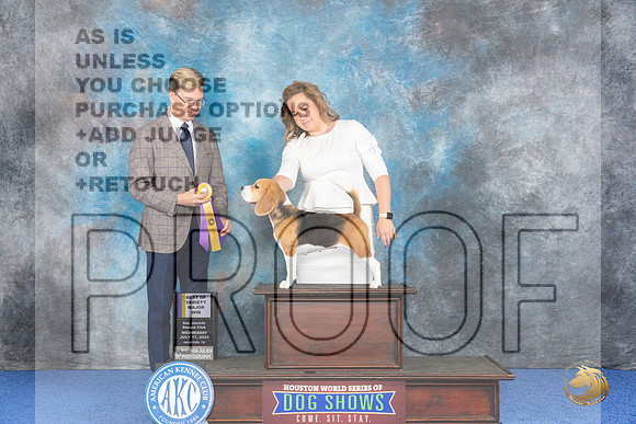 Beagle 15 #6 WED BOV Judge Douglas Johnson__JP_6578_Houston_2024_HR3
