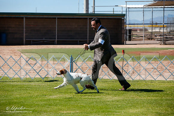 _JJ_4851-AlamogordoOct2014-HR3