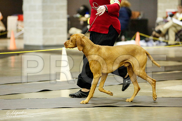 _RH_1191-BeltonJan2015IABCA-HR3