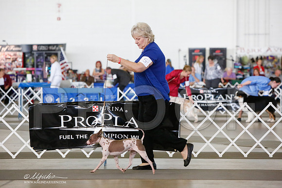 _JJ_7491-DalJul2014-HR3