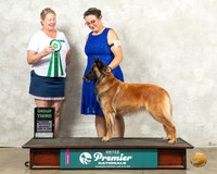 Belgian Shepherd Dog #387 Sat G3 Judge Pam Perdue