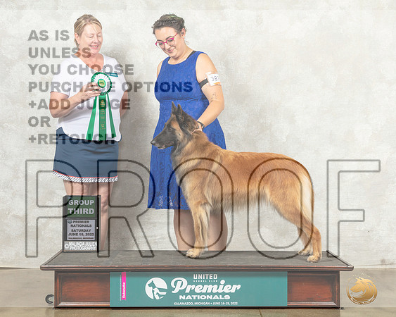 Belgian Shepherd Dog #387 Sat G3 Judge Pam Perdue__MJ_8615_Premier_2022_HR3