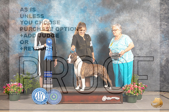 American Staffordshire Terrier #19 Fri G1 Judge Jan Paulk_MJ_0023_SA_2022_HR3