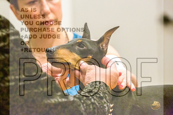 Manchester Terrier MTOY Candids-JJL_2130-Hstn2022_HR3