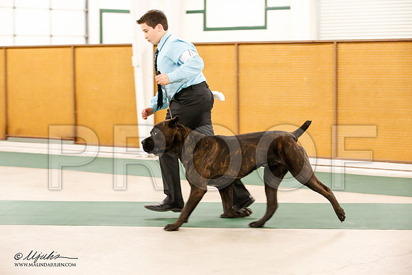 _JN_0707-NrmnNov2014-HR3