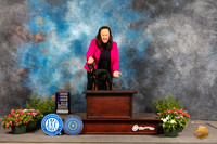 Toy Manchester Terrier #5 Sun WDBOWBOSOHBOB Judge Cindy Lane