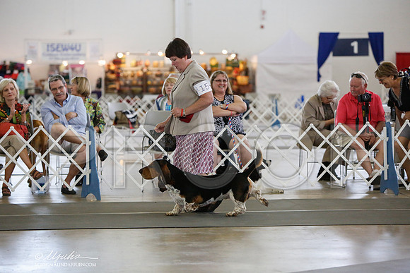 _JJ_2925-DallasJul2014-HR3
