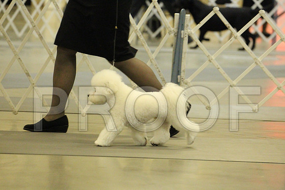 MJS_7547