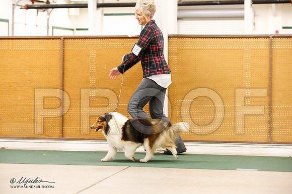 _JN_0019-NrmnNov2014-HR3