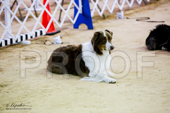 _JN_8088-ASCACollegeStationNov2014-HR3
