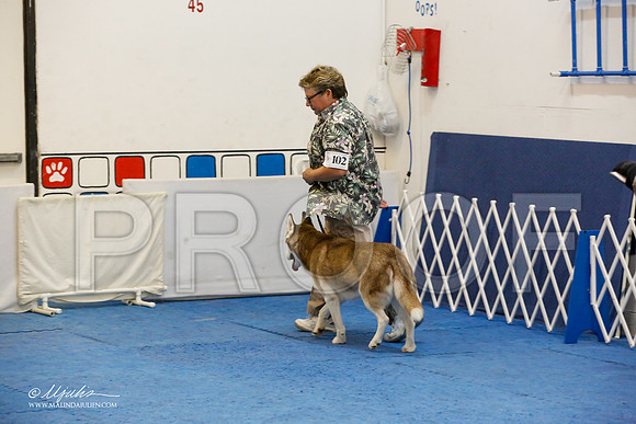_M3_7834-AddisonHuskyMar2015-HR3