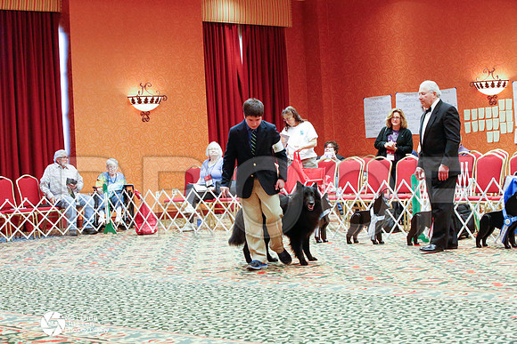 _N9A2547-TlsaApr14-HR3