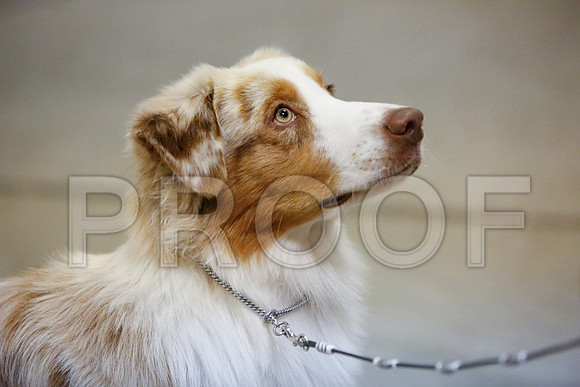 _JJ_2945-AmarilloSept2014-HR3