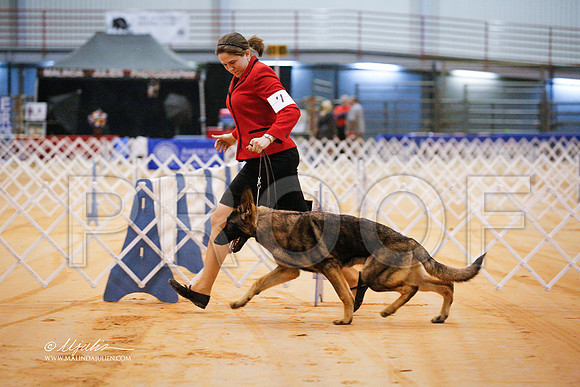GSD-9324-GRJan14-HR