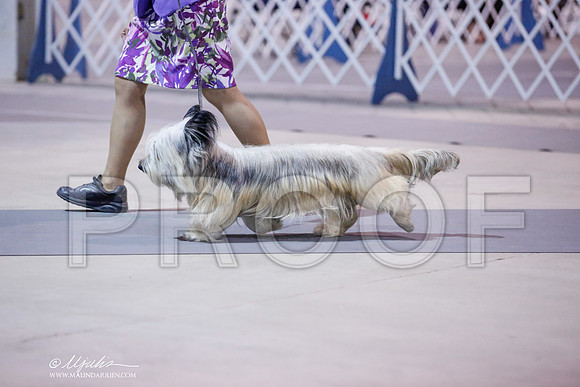 _JN_8498-SAJul2014-HR3
