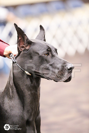 GRDA-4698-FWMar14-HR
