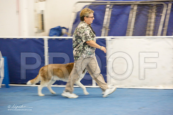 _M3_7468-AddisonHuskyMar2015-HR3
