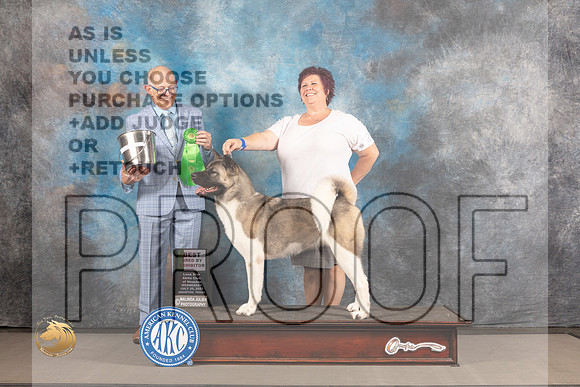 Akita #28 WED BBBE Judge Donald Plummer_MJ_2304_Houston_2022_HR3