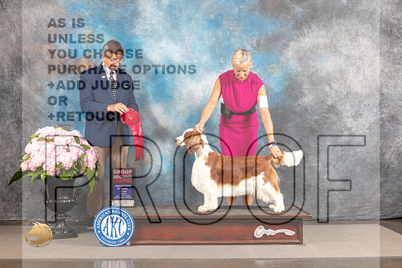 Welsh Springer Spaniel #6 FRI G2 Judge Richard Powell_MJ_6014_Houston_2022_HR3