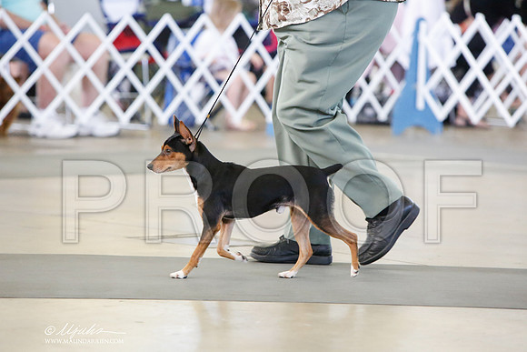 _JJ_7677-DallasJul2014-HR3