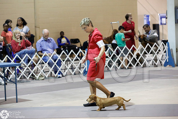 _CL_7965-SanAntonioJul2014-HR
