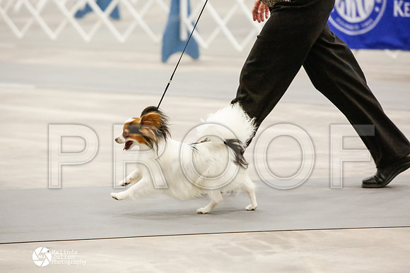 _CK_7472-AblnMay2014-web