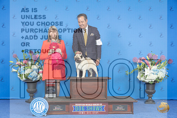 Pug #5 THUR G2 Judge Angela Pickett__JP_8540_Houston_2024_HR3