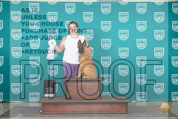 Belgian Shepherd #110 Wed NP Judge Nikki Swapp__JP_0568_Premier_2024_HR3