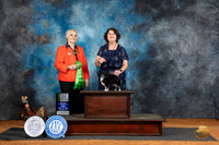 Chihuahua Long Coat #20 Fri BBE Judge Suzanne Dillin