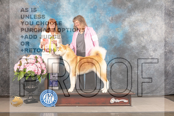 Japanese Akitainu #5 FRI BIOS Judge Linda Hurlebaus_MJ_5502_Houston_2022_HR3