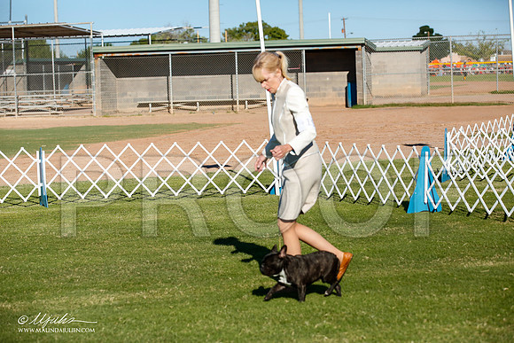 _JJ_6319-AlamogordoOct2014-HR3