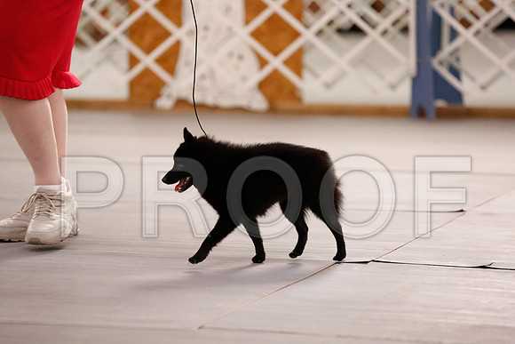 _RH_6674-CarlrolltonSept2014-HR3