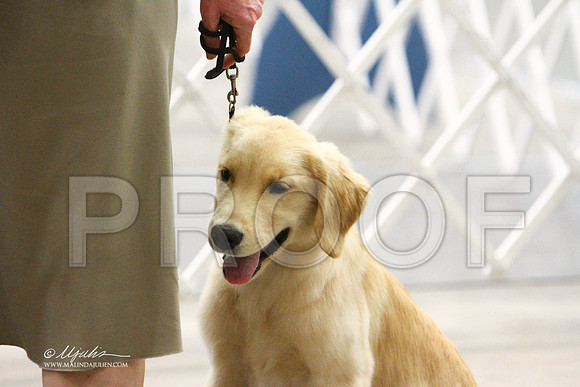 GoldRet-1235LR