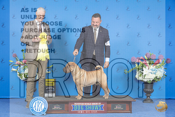 Chinese Shar Pei #5 THUR G3 Judge Jon Cole__JP_8573_Houston_2024_HR3