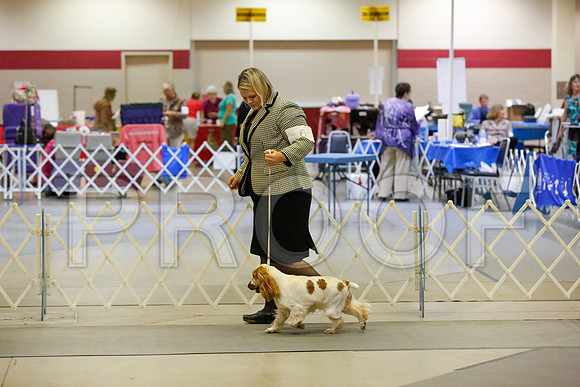 _JJ_2590-AmarilloSept2014-HR3
