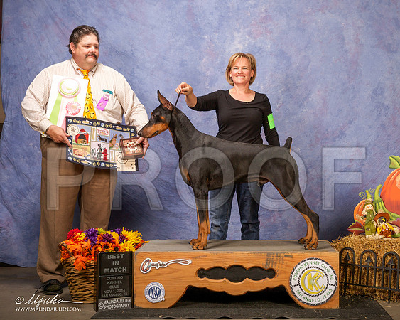 _CL_4574 - Version 2-SanAngelo2014-HR3