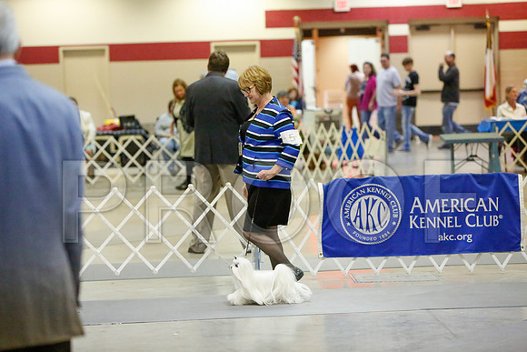 _JJ_2630-AmarilloSept2014-HR3