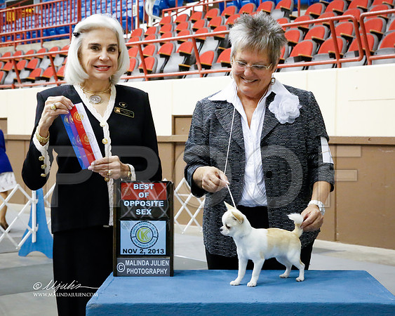 ChiS-1204-SANov13-HR
