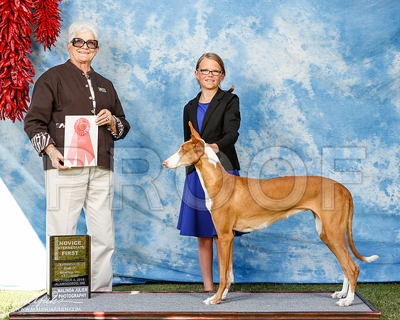 _ST_3015-2-AlamogordoOct2014-HR3